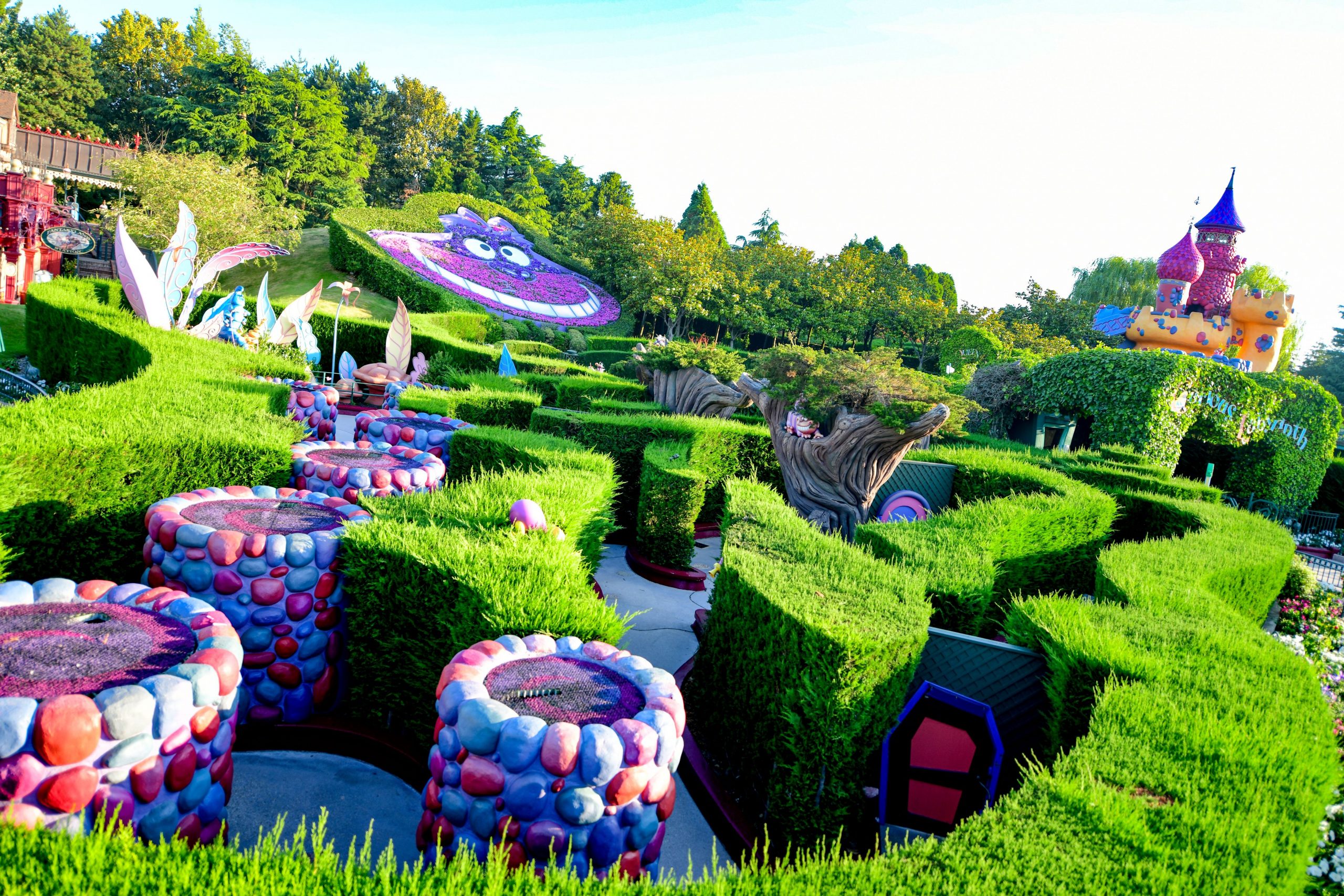 Alice's Curious Labyrinth
